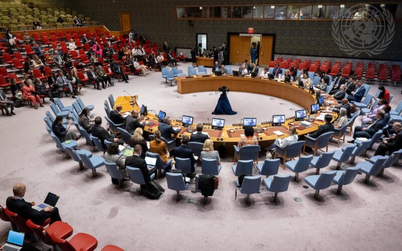 Security Council Meets on Protection of Civilians in Armed Conflict / Photo: UN Photo