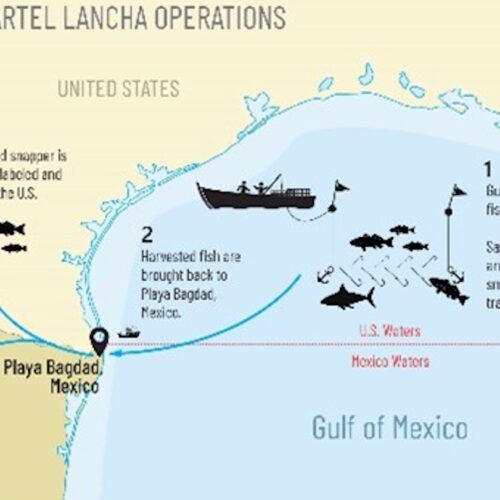 US hits members of the criminal Gulf Cartel