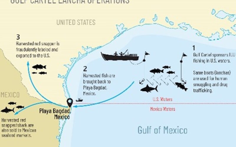 Gulf Cartel / OFAC